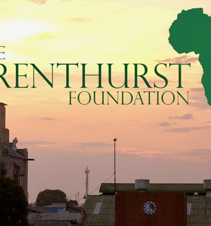 Brenthurst Foundation