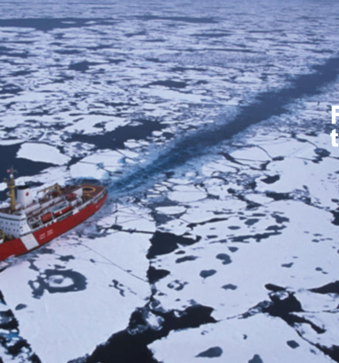 Arctic Indigenous Representation at the IMO